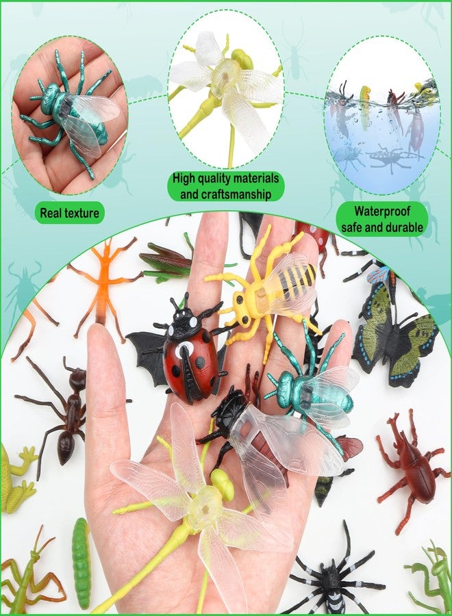 DOITEM 29Pcs Large Realistic Insect Toys Figures, Plastic Bugs Figurines Set, Realistic Insects Toy for Kid, Ladybug, Bee, Butterfly, Assorted Insect Bugs Figures Toy, Insect Themed Party Favors - Image 3